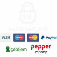 pago seguro paypal visa mastercard